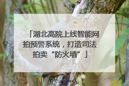 湖北高院上线智能网拍预警系统，打造司法拍卖“防火墙”
