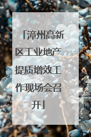 漳州高新区工业地产提质增效工作现场会召开