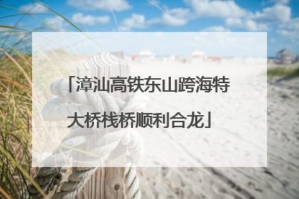 漳汕高铁东山跨海特大桥栈桥顺利合龙