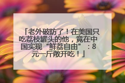 老外破防了！在美国只吃荔枝罐头的他，竟在中国实现“鲜荔自由”：8元一斤敞开吃！