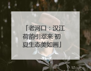 老河口：汉江荷韵引翠来 初夏生态美如画