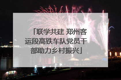 联学共建 郑州客运段高铁车队党员干部助力乡村振兴