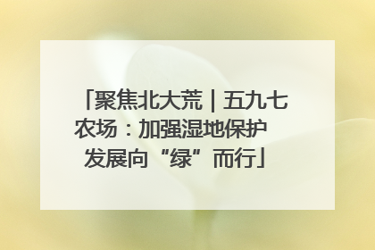 聚焦北大荒｜五九七农场：加强湿地保护 发展向“绿”而行