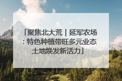 聚焦北大荒｜延军农场：特色种植带旺多元业态 土地焕发新活力