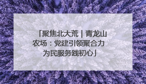 聚焦北大荒｜青龙山农场：党建引领聚合力 为民服务践初心