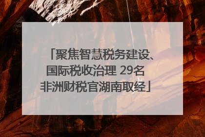 聚焦智慧税务建设、国际税收治理 29名非洲财税官湖南取经