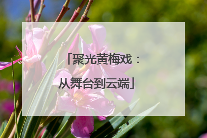 聚光黄梅戏：从舞台到云端