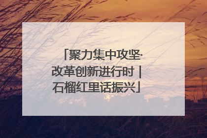 聚力集中攻坚·改革创新进行时｜石榴红里话振兴