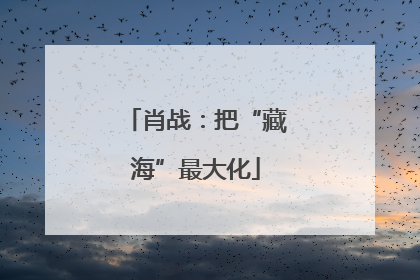 肖战：把“藏海”最大化