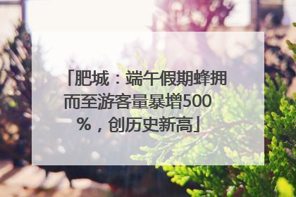肥城：端午假期蜂拥而至游客量暴增500%，创历史新高
