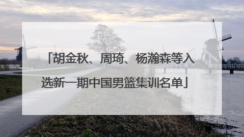 胡金秋、周琦、杨瀚森等入选新一期中国男篮集训名单