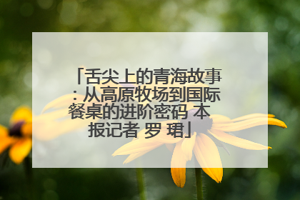 舌尖上的青海故事：从高原牧场到国际餐桌的进阶密码 本报记者 罗 珺