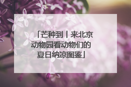 芒种到丨来北京动物园看动物们的夏日纳凉图鉴