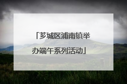 芗城区浦南镇举办端午系列活动