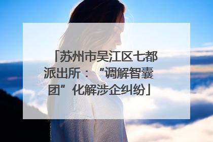 苏州市吴江区七都派出所：“调解智囊团”化解涉企纠纷