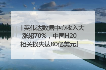 英伟达数据中心收入大涨超70%，中国H20相关损失达80亿美元