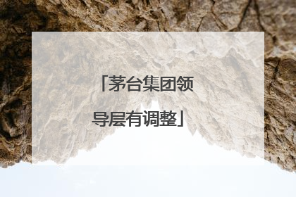 茅台集团领导层有调整