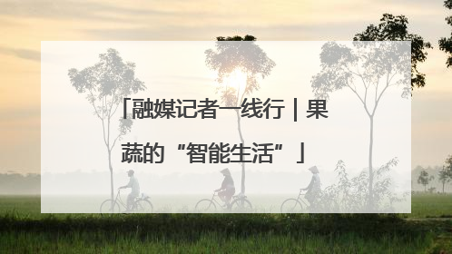 融媒记者一线行｜果蔬的“智能生活”