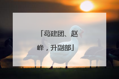 葛建团、赵峰，升副部