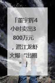 董宇辉4小时卖出3800万元，潜江龙虾火爆“出圈”