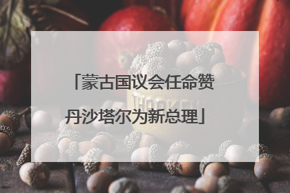 蒙古国议会任命赞丹沙塔尔为新总理
