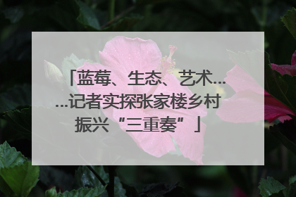 蓝莓、生态、艺术……记者实探张家楼乡村振兴“三重奏”