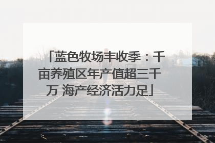 蓝色牧场丰收季：千亩养殖区年产值超三千万 海产经济活力足
