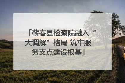 蕲春县检察院融入“大调解”格局 筑牢服务支点建设根基