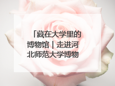 藏在大学里的博物馆｜走进河北师范大学博物馆天地科学馆：在校园里赴一场“宇宙之约”