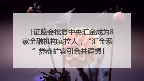 证监会批复中央汇金成为8家金融机构实控人，“汇金系”券商扩容引合并遐想
