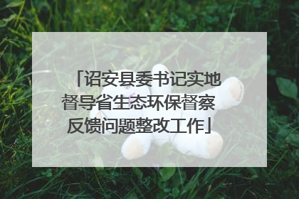 诏安县委书记实地督导省生态环保督察反馈问题整改工作