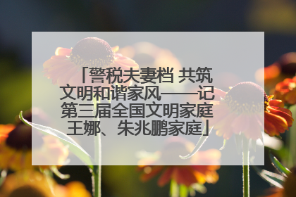 警税夫妻档 共筑文明和谐家风——记第三届全国文明家庭王娜、朱兆鹏家庭