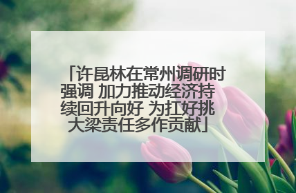 许昆林在常州调研时强调 加力推动经济持续回升向好 为扛好挑大梁责任多作贡献