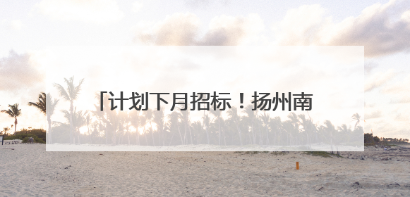 计划下月招标！扬州南部地区将建2条快速路