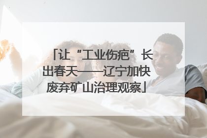 让“工业伤疤”长出春天——辽宁加快废弃矿山治理观察
