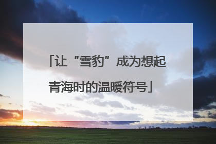 让“雪豹”成为想起青海时的温暖符号