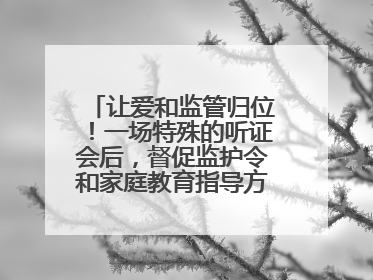 让爱和监管归位！一场特殊的听证会后，督促监护令和家庭教育指导方案同时送达
