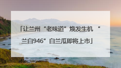 让兰州“老味道”焕发生机 “兰白946”白兰瓜即将上市