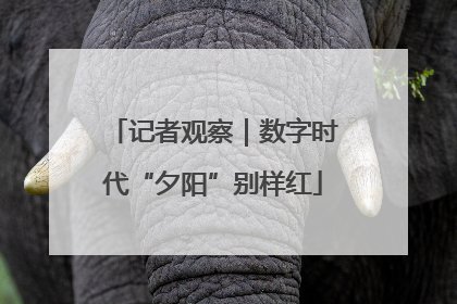 记者观察｜数字时代“夕阳”别样红
