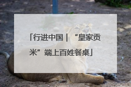 行进中国｜“皇家贡米”端上百姓餐桌