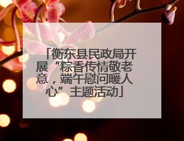 衡东县民政局开展“粽香传情敬老意，端午慰问暖人心”主题活动