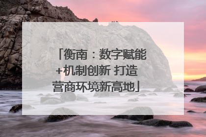 衡南：数字赋能+机制创新 打造营商环境新高地
