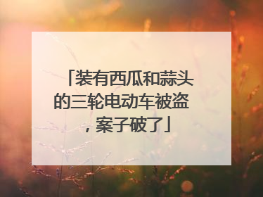 装有西瓜和蒜头的三轮电动车被盗，案子破了