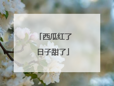 西瓜红了 日子甜了