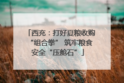 西充：打好夏粮收购“组合拳” 筑牢粮食安全“压舱石”