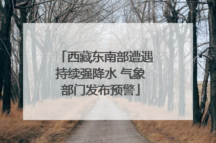 西藏东南部遭遇持续强降水 气象部门发布预警