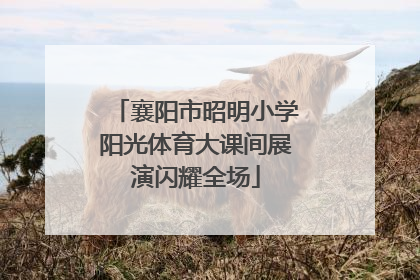 襄阳市昭明小学阳光体育大课间展演闪耀全场