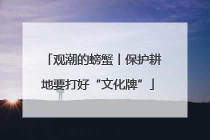 观潮的螃蟹丨保护耕地要打好“文化牌”
