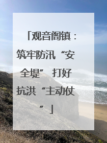 观音阁镇：筑牢防汛“安全堤” 打好抗洪“主动仗”