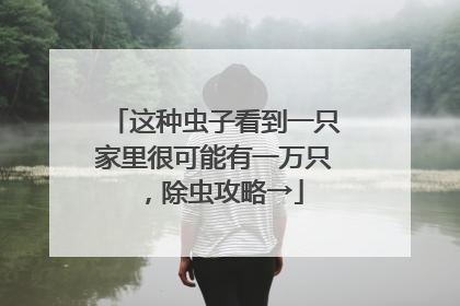 这种虫子看到一只家里很可能有一万只，除虫攻略→